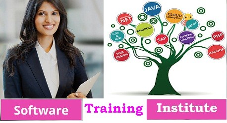 COMPUTER SOFTWARE TRAINING INSTITUTE